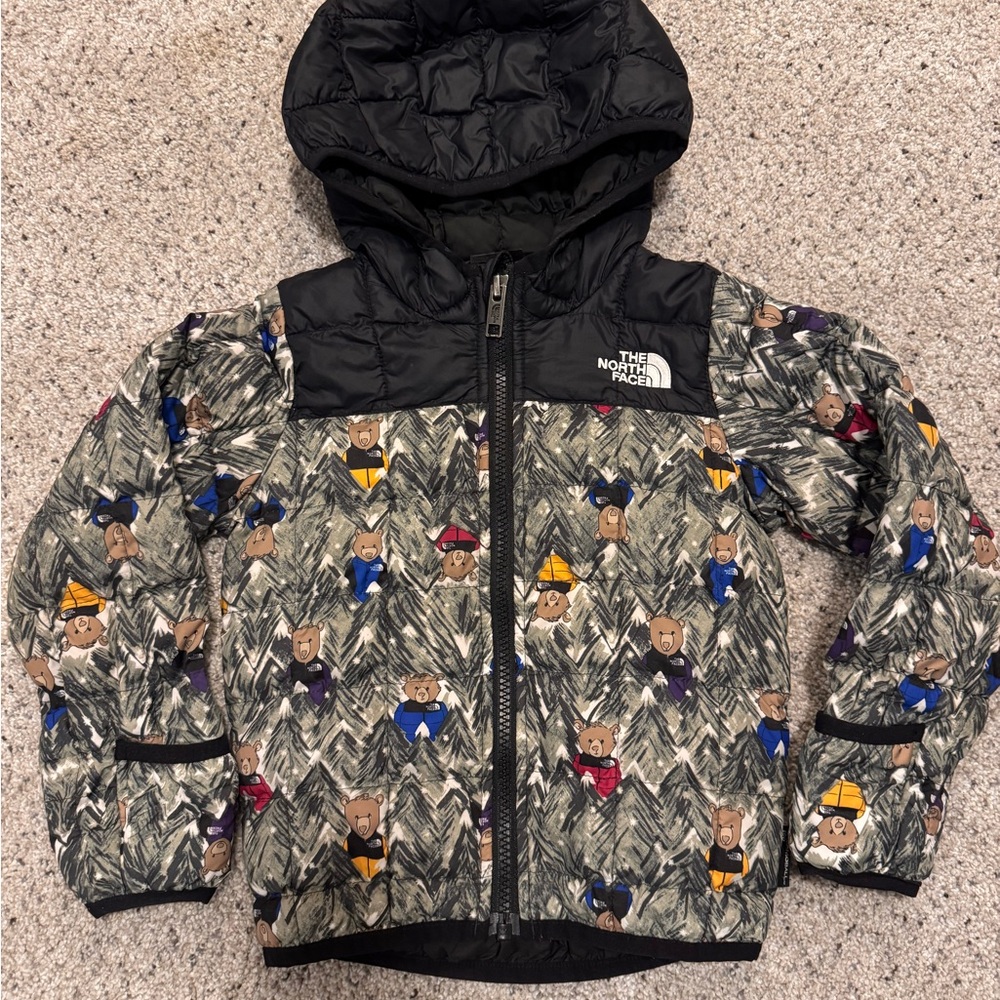 The North Face Kids Puffer Jacket - Black and Multicolor